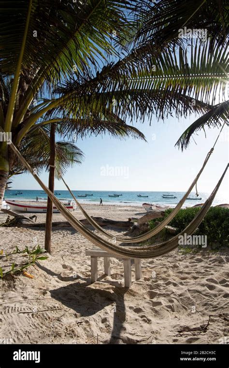 Hammock Between Palm Trees On Tropical Beach At Tulum Mexico Stock