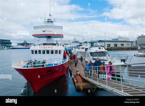 Iceland. Reykjavik. Elding whale watching tour Stock Photo - Alamy