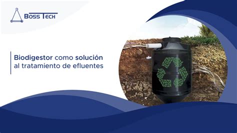 Biodigestor como solución al tratamiento de efluentes