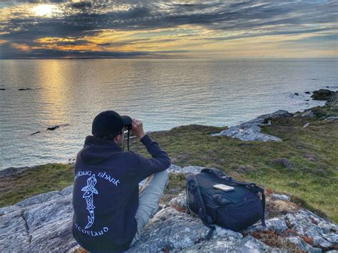 Day In The Life Of A Basking Shark Scotland Guide Basking Shark Scotland