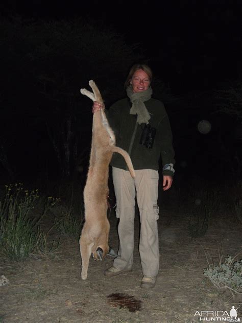 Hunting Caracal in Namibia | AfricaHunting.com