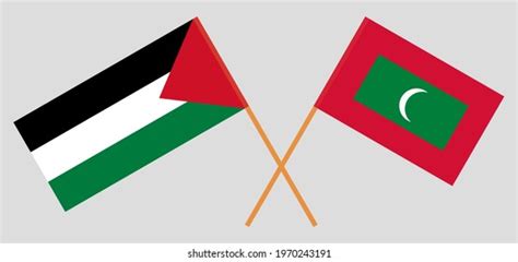 Crossed Flags Palestine Maldives Official Colors Stock Vector Royalty