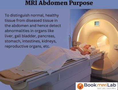 MRI Abdomen Price Purpose Preparation Results 2024