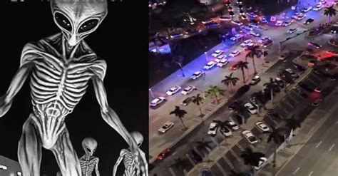 Miami Mall Shut Down After Foot Tall Alien Spotted In Bizarre