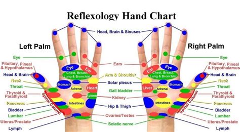 Hand Reflexology: The Ultimate Guide to Hand Reflexology – MindBodyPal