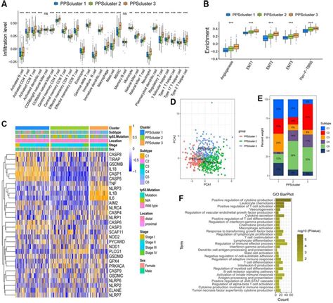 Tme Cell Infiltration Characteristics In Distinct Pyroptosis Patterns Download Scientific