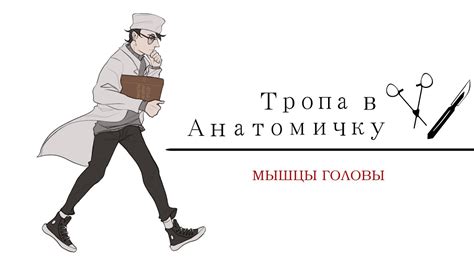 Миология. Мышцы головы - YouTube