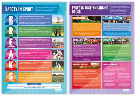 Buy Physical Training Posters Set Of 7 PE Posters Laminated Gloss