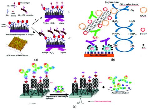 The Working Principle Of This Typical CNTs Based Immunosensor A