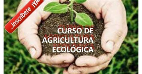 Curso De Agricultura Ecológica En Tijarafe