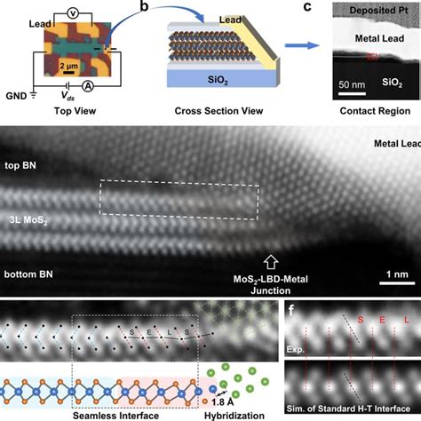 Atomic Scale Observation Of The Lbd Contact In Mos A Top View Optical