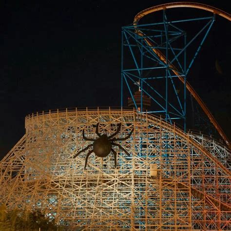 Six Flags Magic Mountain Halloween Travel Amusement Park Rides