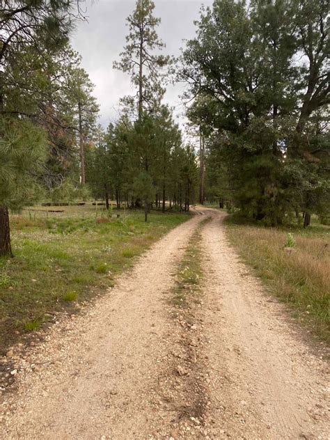 West Buzzard Ridge, Arizona : Off-Road Map, Guide, and Tips | onX Offroad