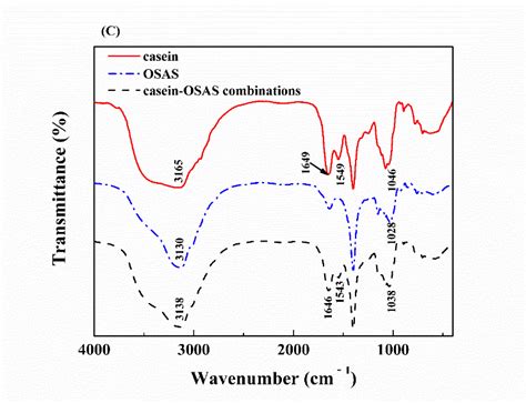 A Effect Of The Casein Octenyl Succinic Anhydride Modified Starch Download Scientific Diagram