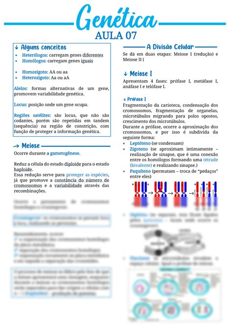 SOLUTION Resumo Gen Tica B Sica 07 Meiose Studypool