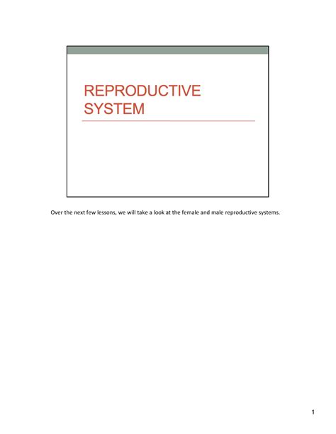 Chapter 27 Reproductive System Over The Next Few Lessons We Will