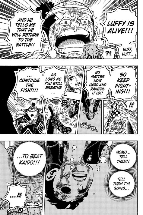 One Piece Chapter 1015 Mangapill