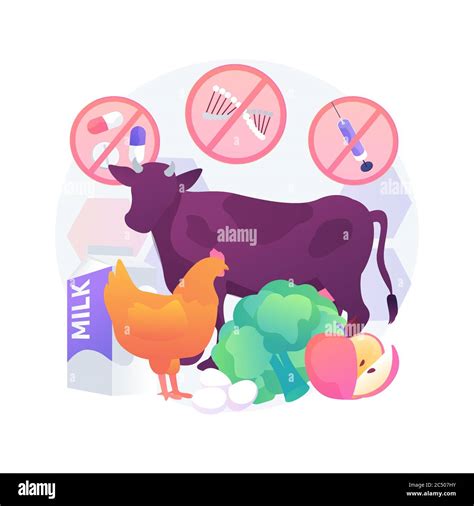 Free From Antibiotics Hormones Gmo Foods Abstract Concept Vector