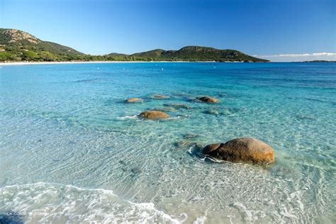 La Plage De Palombaggia En Corse Porto Vecchio