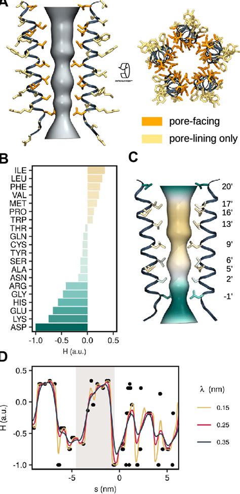 Hydrophobicity Profile Of Pore Lining Residues A CHAP Automatically