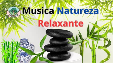 Musica Natureza Relaxante Musica Acalma O Sistema Nervoso Youtube