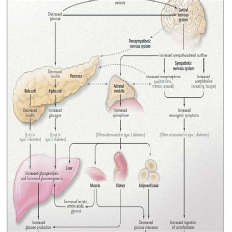 Pdf Classification Pathophysiology Diagnosis And Management Of