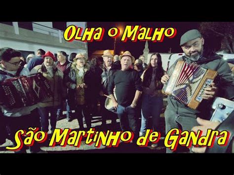 Olha o Malho São Martinho de Gandra Esposende YouTube