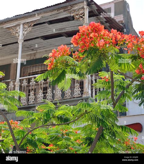 Badly Maintained Colonial Style House Maptuo Mozambique Mozambique