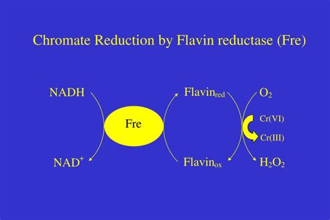 Ppt Common Valence States Of Chromium Powerpoint Presentation Free Download Id3300507