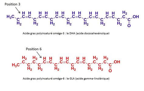 Acide Gras Trans OK 1 Docx Microsoft Word Cardio Omega 3 Acide