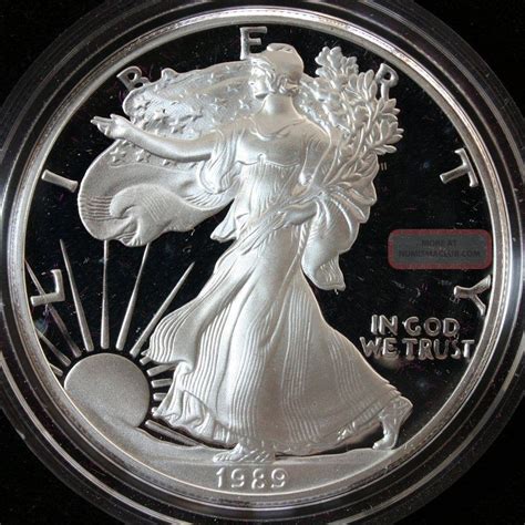 1989 American Silver Eagle Proof Coin