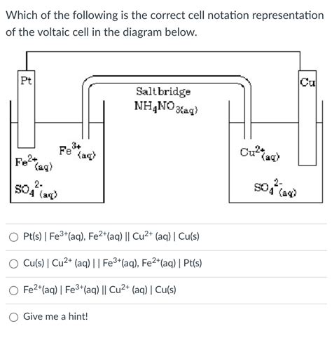 Solved Which Of The Following Is The Correct Cell Notation