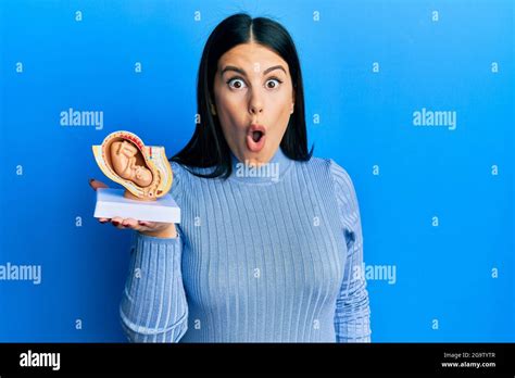 Beautiful Brunette Woman Holding Anatomical Model Of Female Uterus With