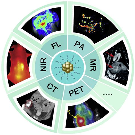 Advances Of Gold Nanoclusters For Bioimaging Iscience