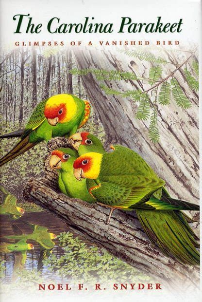 The Carolina Parakeet Glimpses Of A Vanished Bird Nhbs Academic