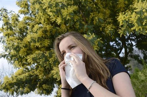 Quatre conseils simples pour se prémunir des allergies aux pollens