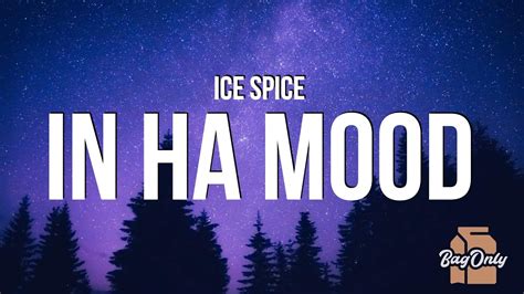 Ice Spice In Ha Mood Lyrics Realtime Youtube Live View Counter