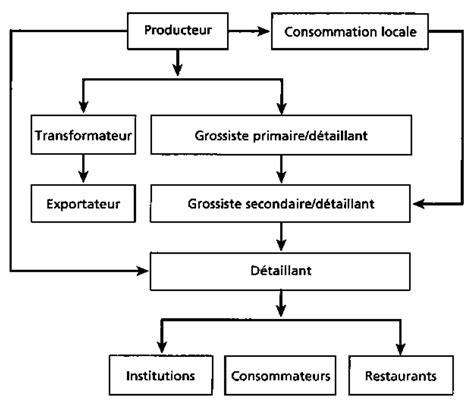 Chapitre Les R Seaux Dunit Commerciales