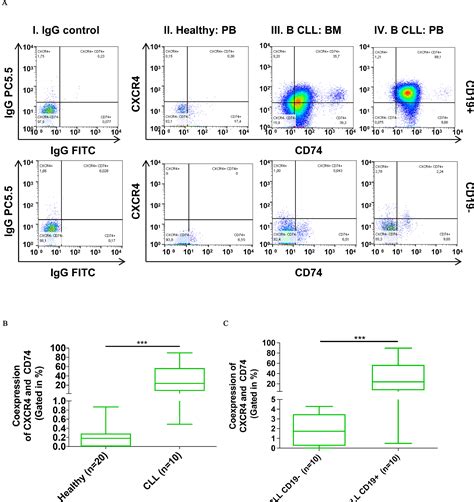 Cxcr4 And Cd74 Together Enhance Cell Survival In Response To Macrophage