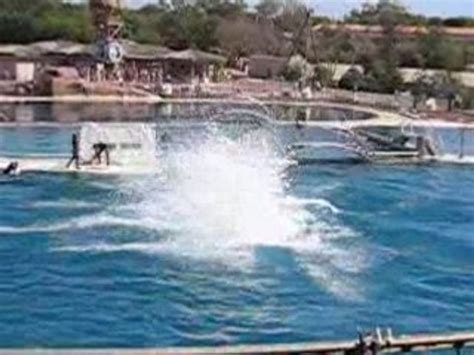 Parc Marineland Antibes Juan Les Pins Vid O Dailymotion