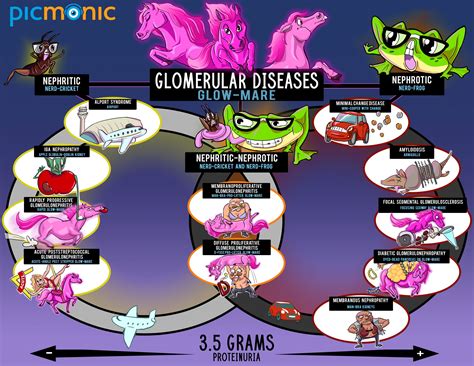[Infographic] How to Study: Glomerular Disorders | Picmonic