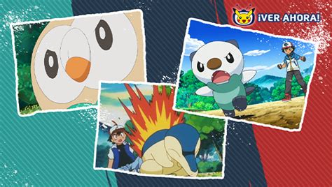 Disfruta De La Serie Pok Mon Con Rowlet Cyndaquil Y Oshawott En Tv