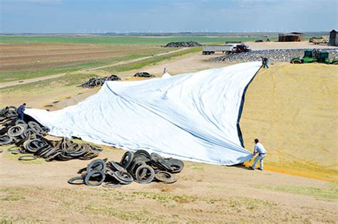 Cover Drive Over Silage Piles Properly To Get More Out Of Your Feed