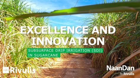 Excellence And Innovation Subsurface Drip Irrigation Sdi In