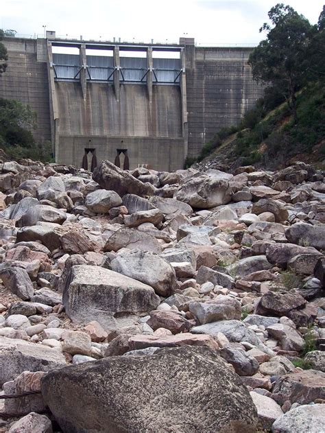 The Habitat Advocate » Blog Archive Snowy River castrated for water ...