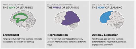 Introduction To Universal Design For Learning Udl Arts Letters