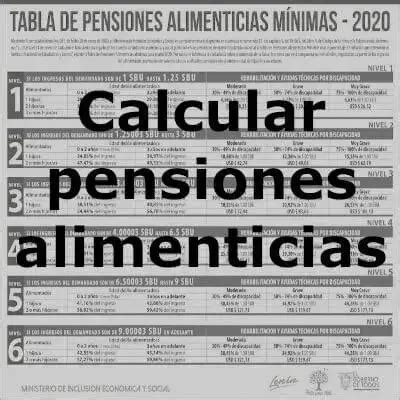 Guía para el cálculo pensiones alimenticias en 2020 2024 elyex