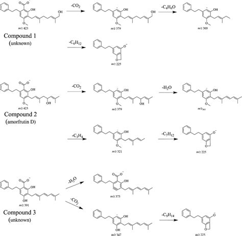 Proposed Fragmentation Pathways Of Compounds 1 2 And 3 Download