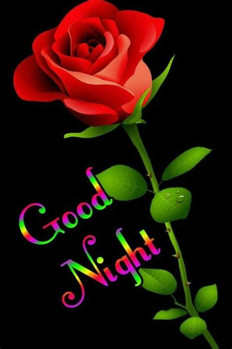 Pin By వందన😊 On Good Night Good Night Flowers Good Night Image Good Night Beautiful