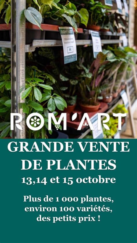 Grande Vente De Plantes Rom Art Plantes Fleurs